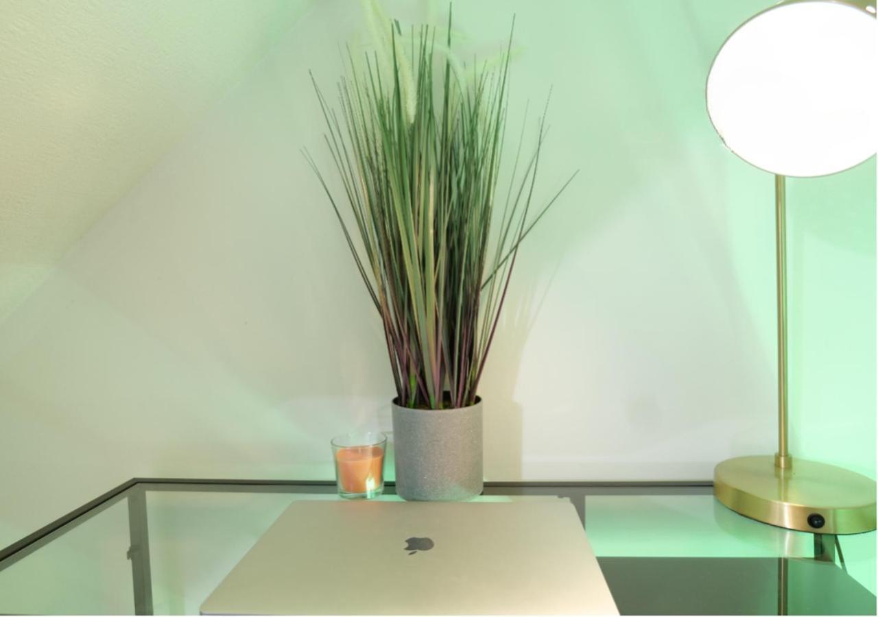 Modern Spark Home With Parking, Garden, Wi-Fi Birmingham Ngoại thất bức ảnh